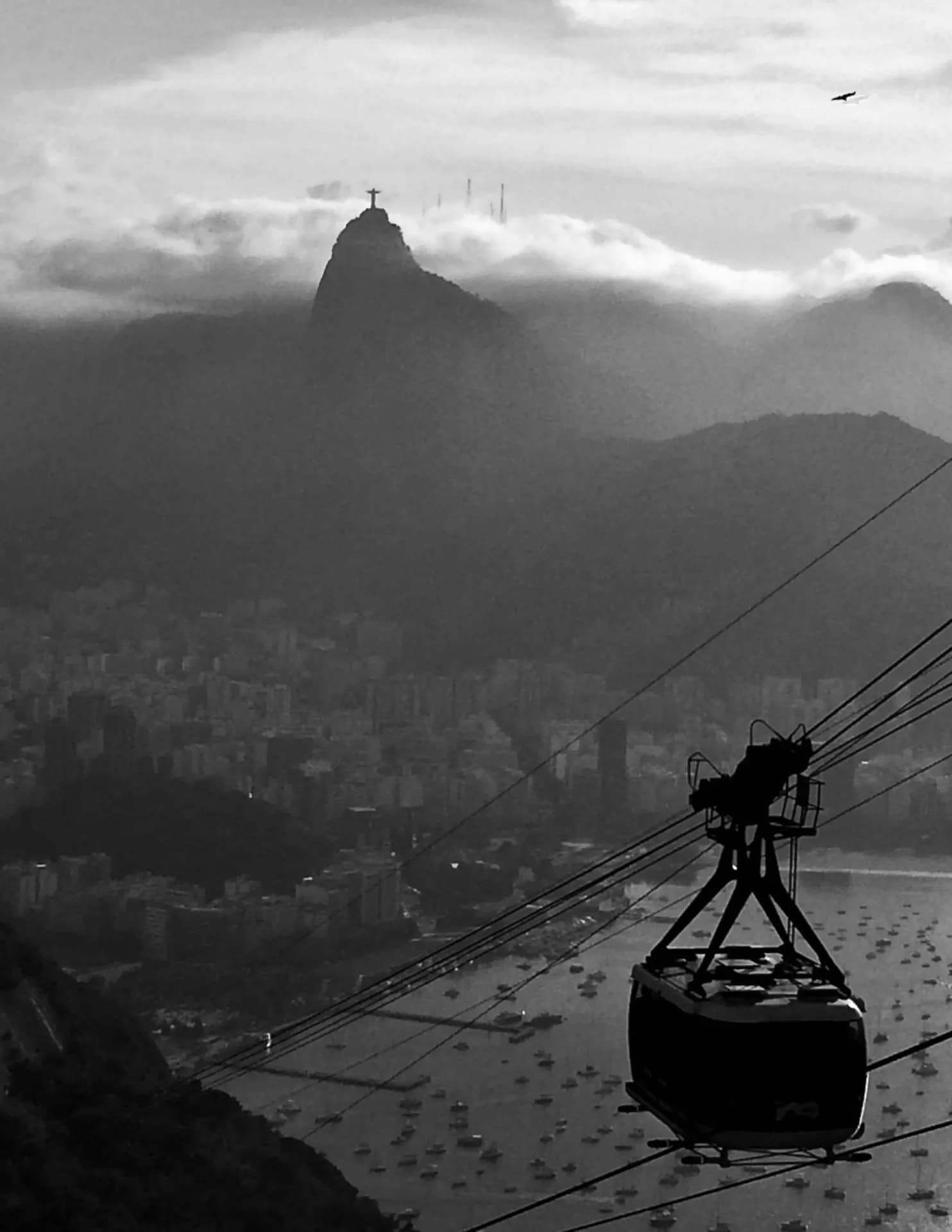RgueyoFoto image