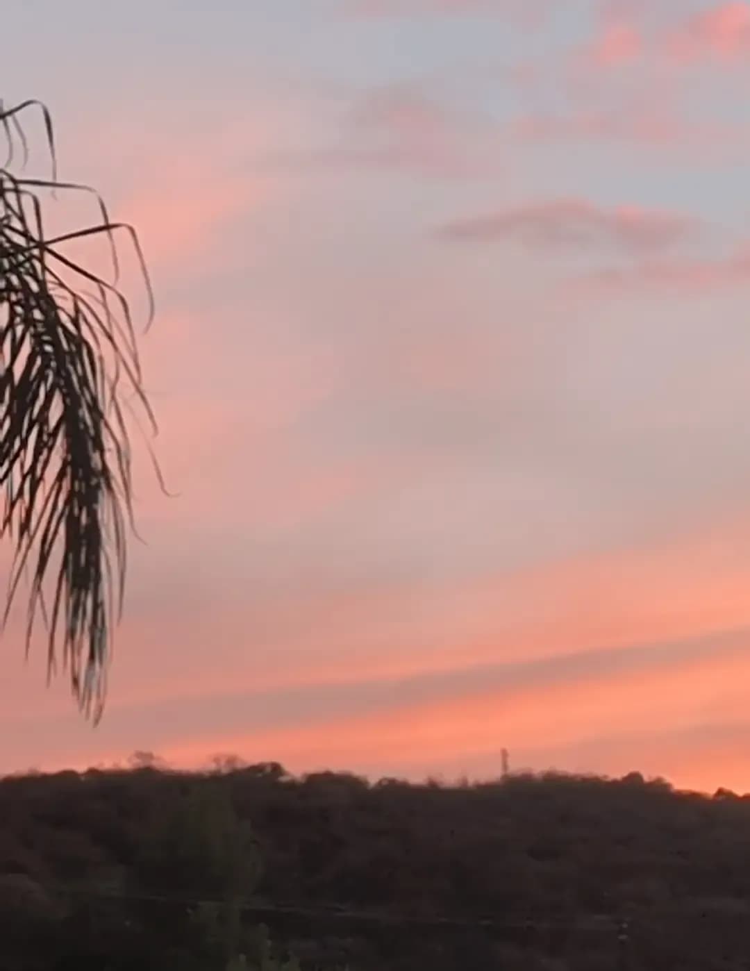 competitor kPBG8