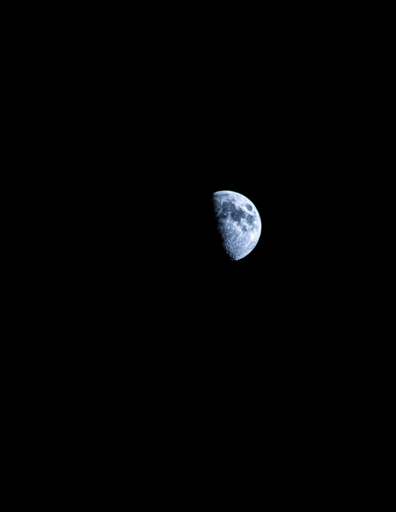 Laila image