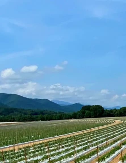 Appalachianbygrace image