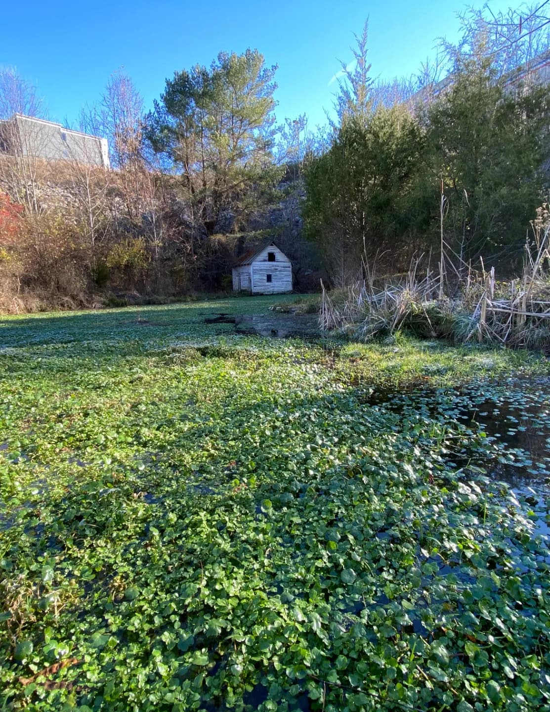 Appalachianbygrace image