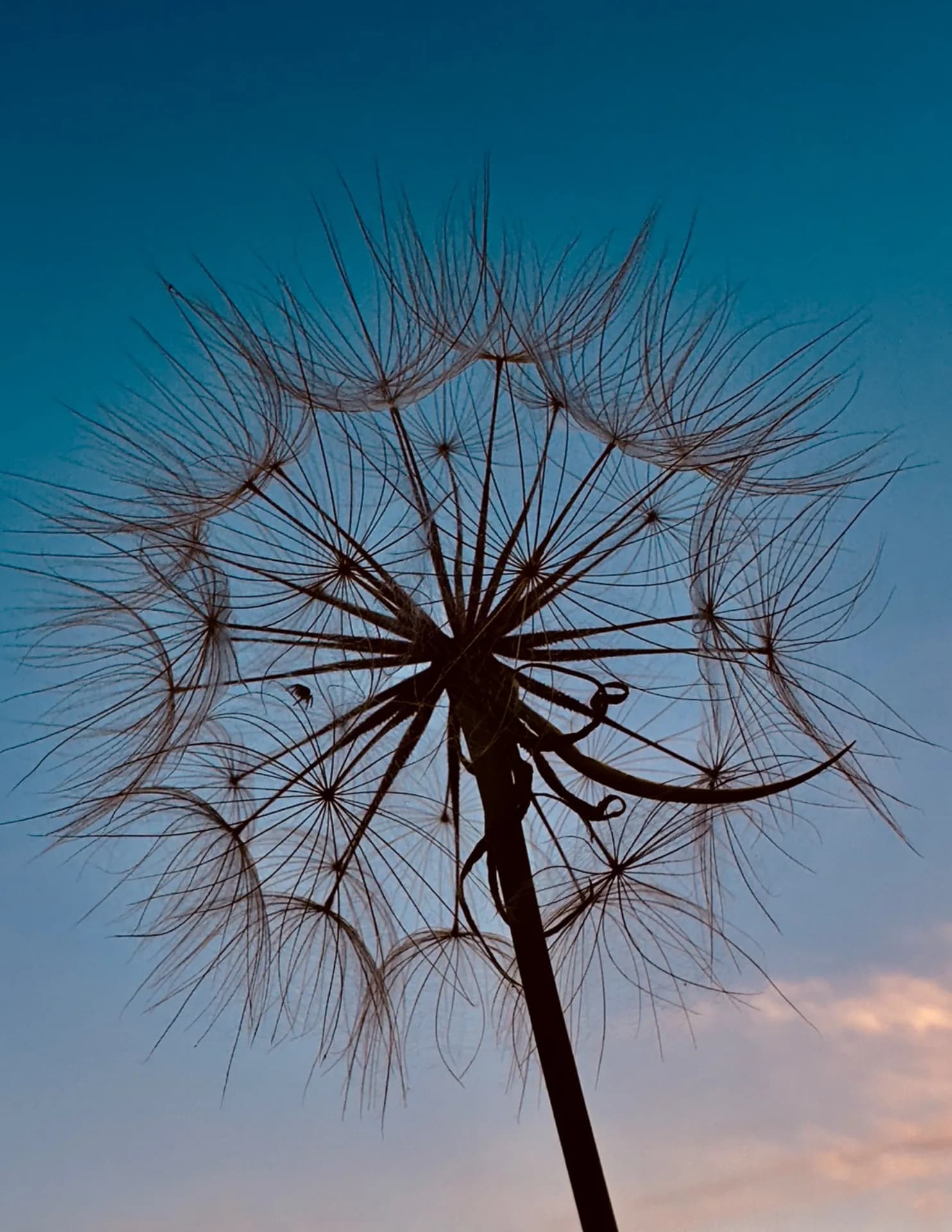 Beautifully Forgotten  image