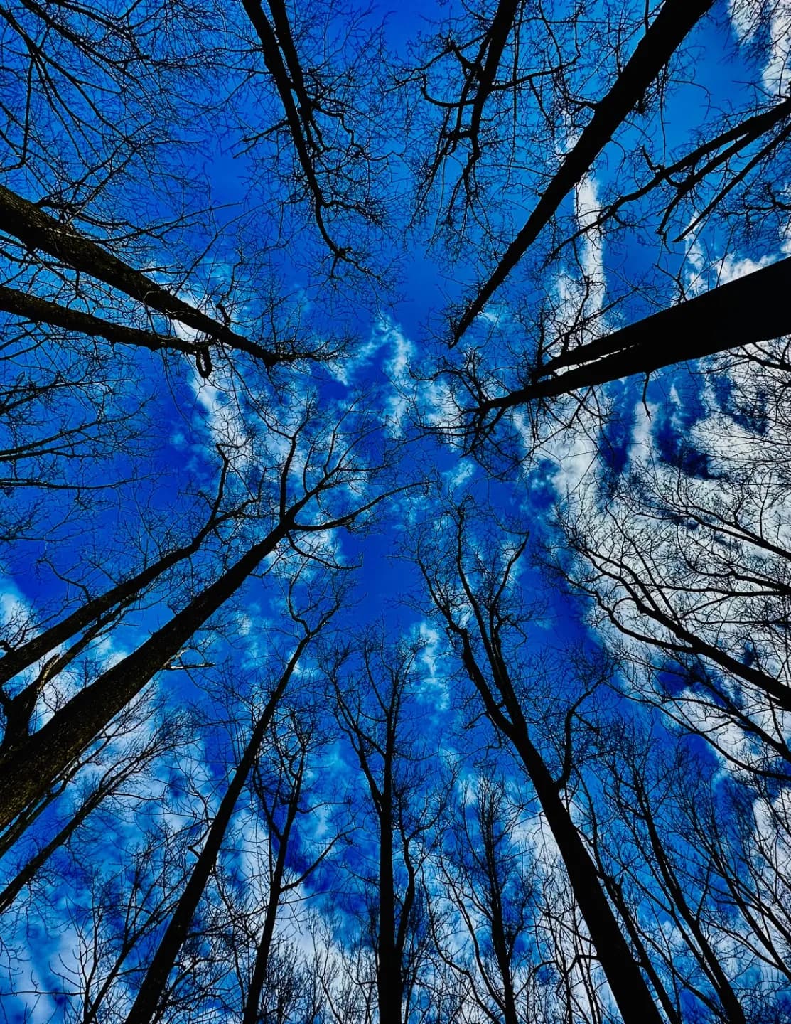 Beautifully Forgotten  image
