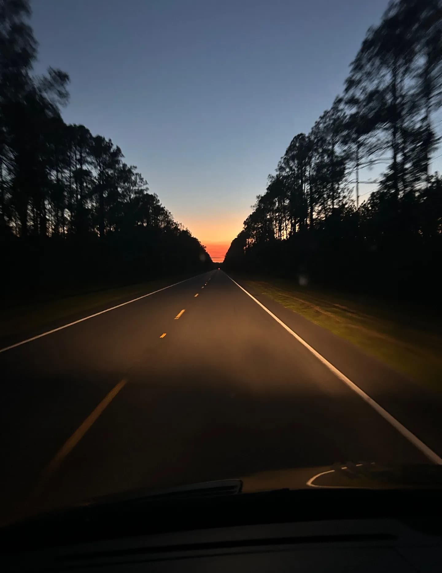 Rolf image
