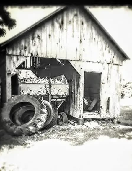 BrandyWine image