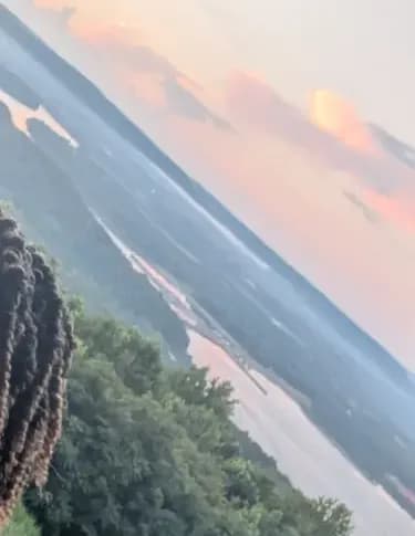 Latoya vines image