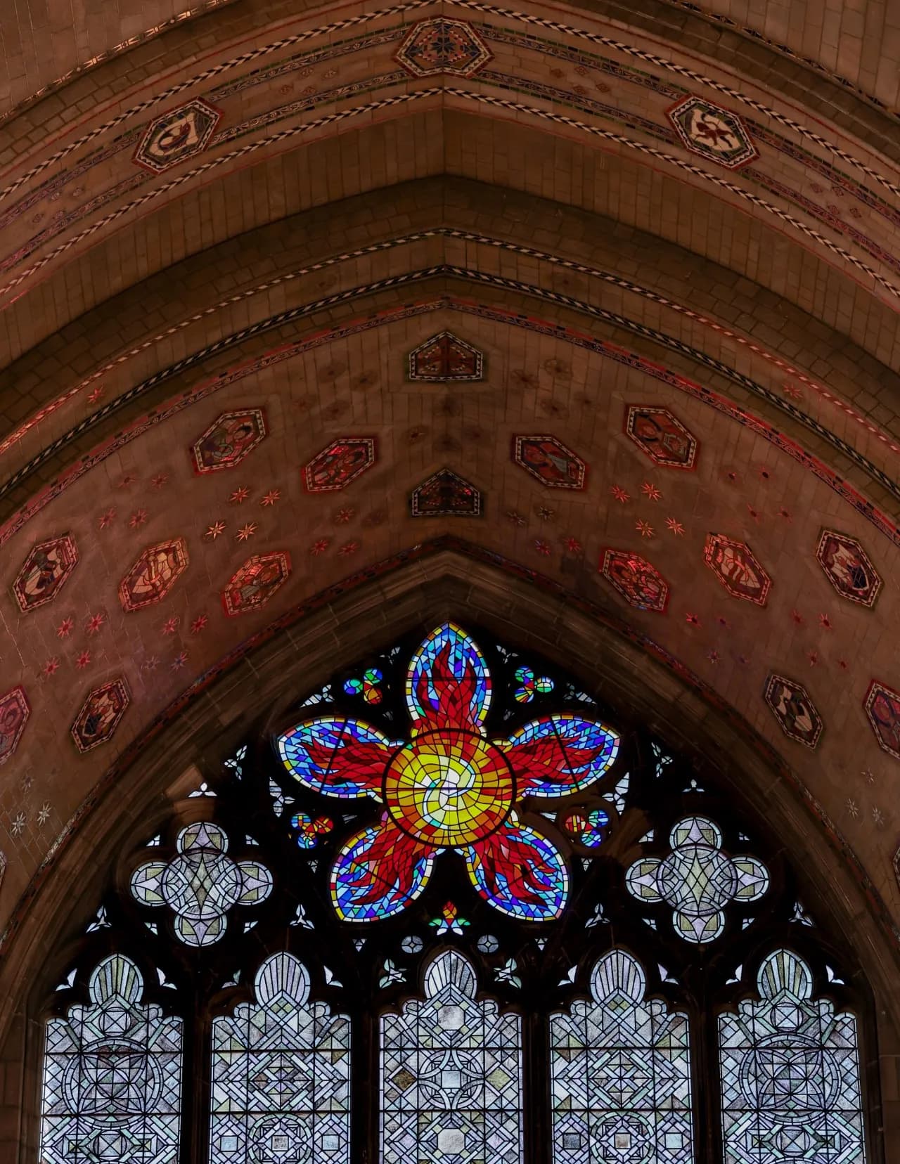 Halohalation image