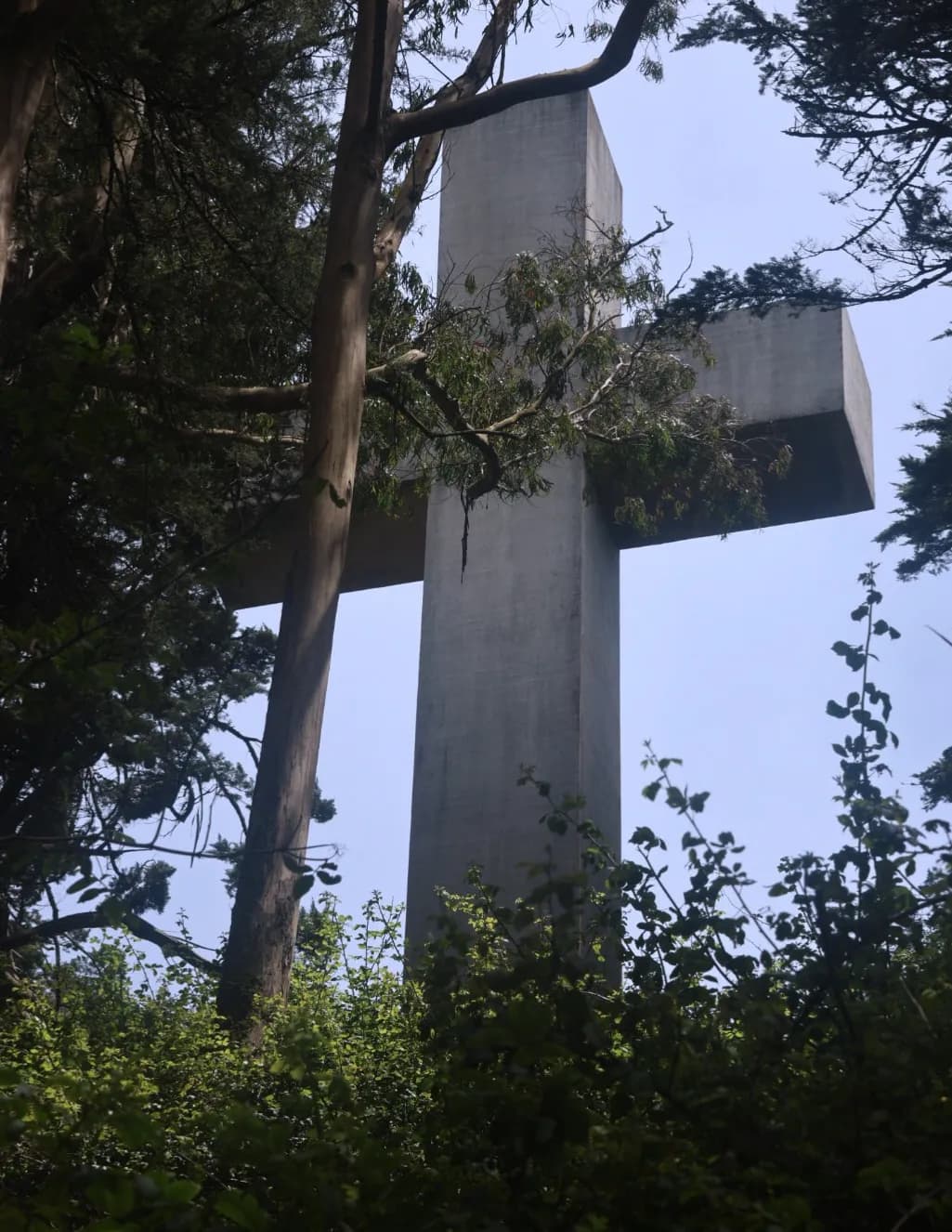 Halohalation image