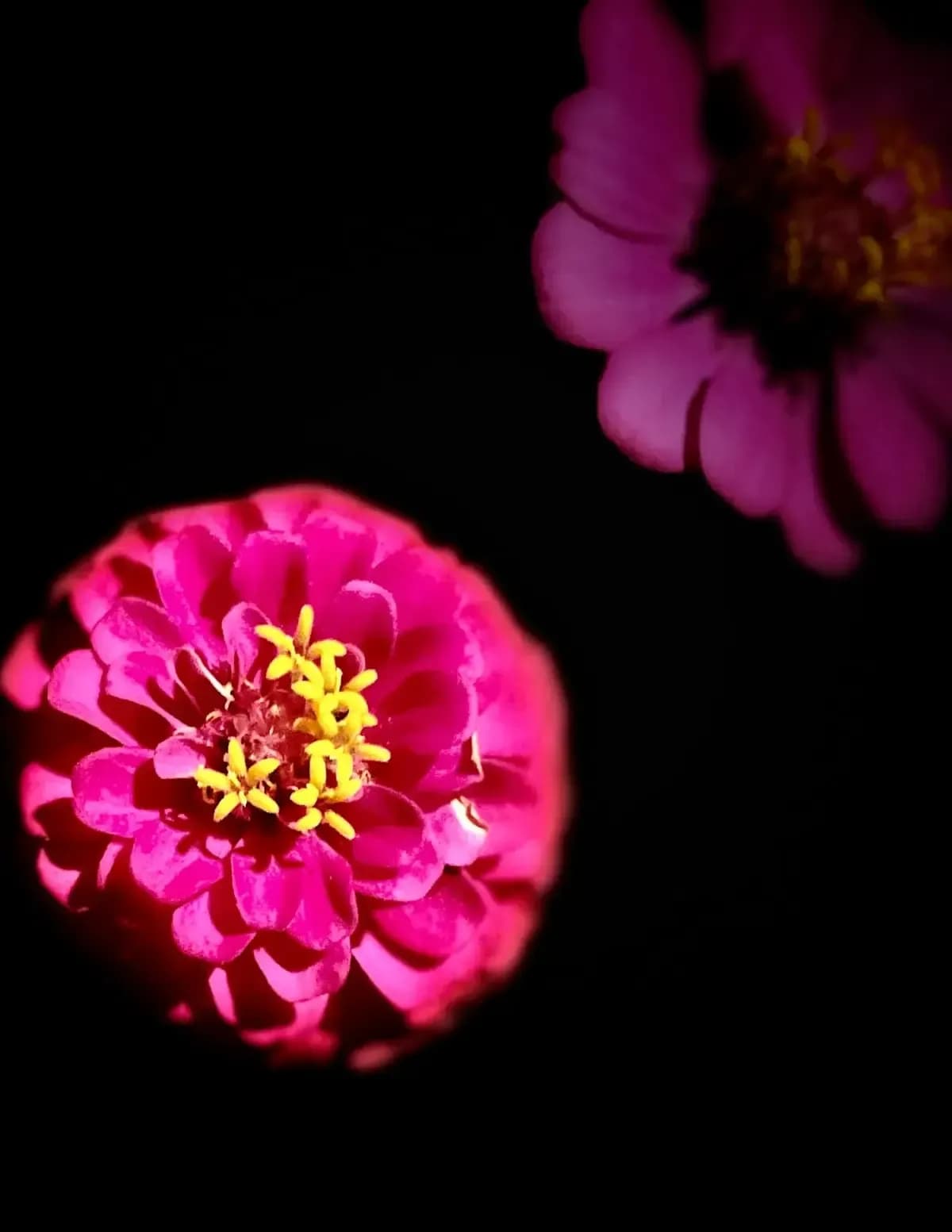 Megan Greathouse image