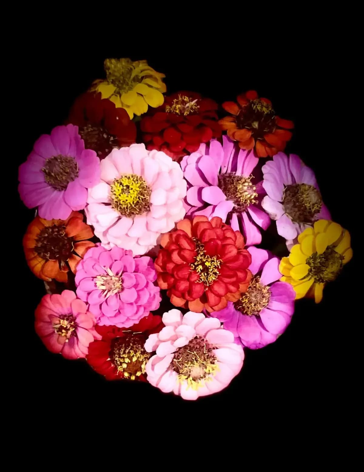 Megan Greathouse image