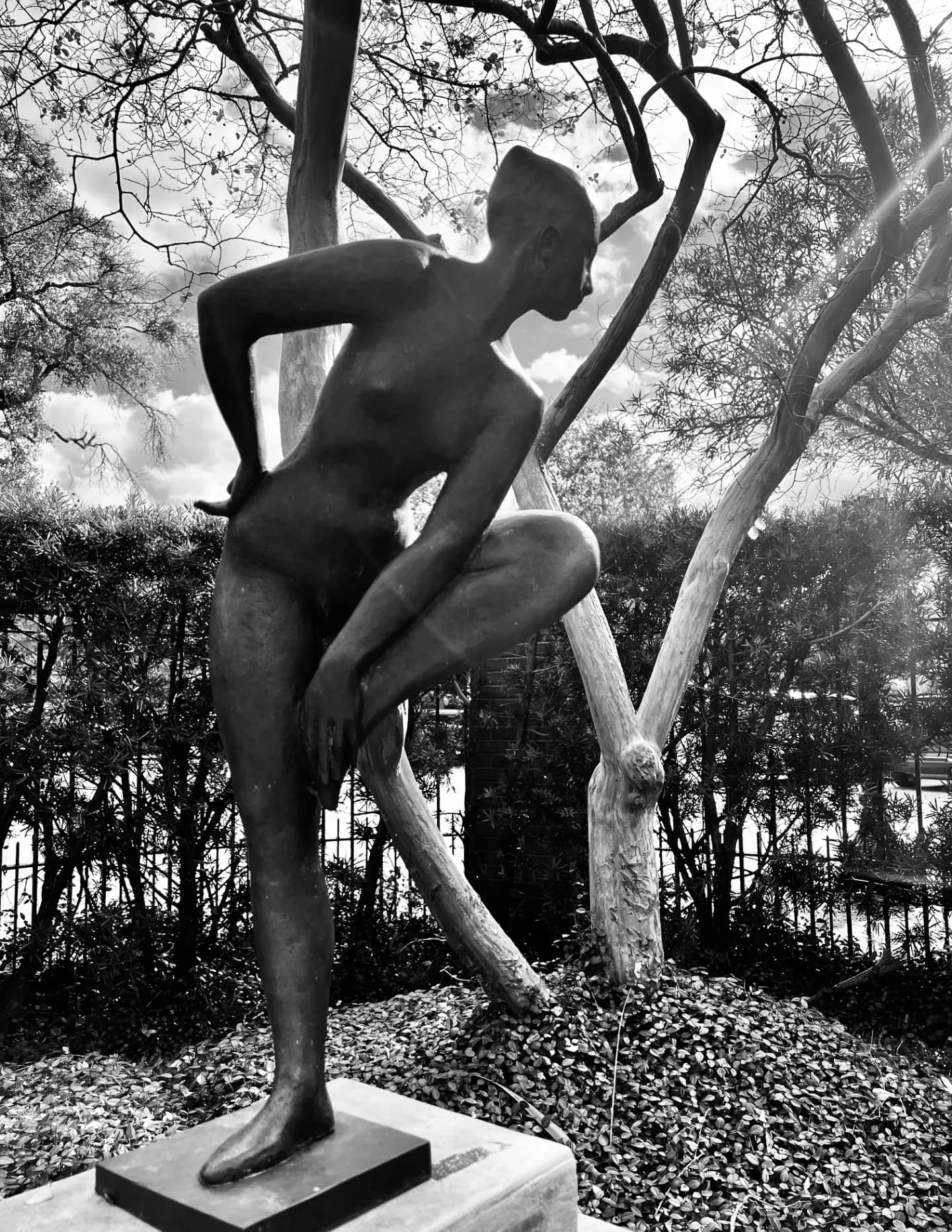 Lila Johnson image