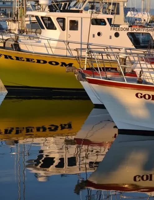 Gailiano’s Gallery image