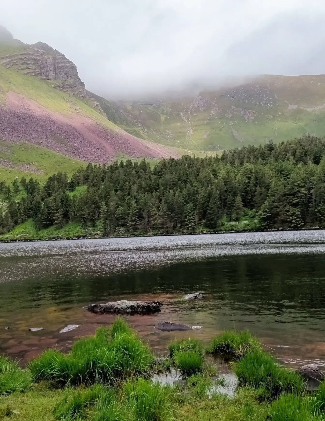 Aine Ni Shonaigh image