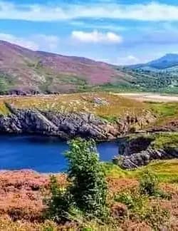 Aine Ni Shonaigh image