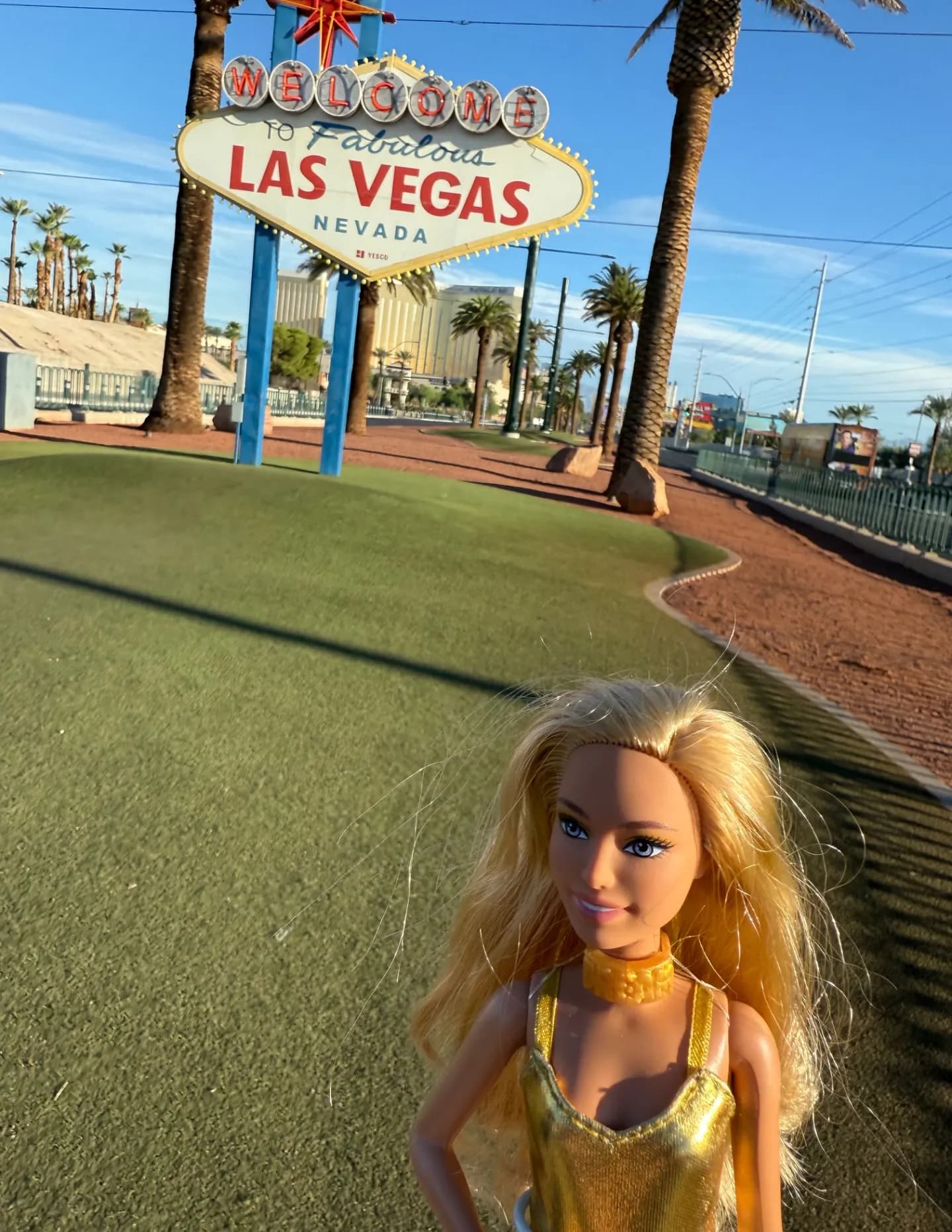 Amy Mitten image