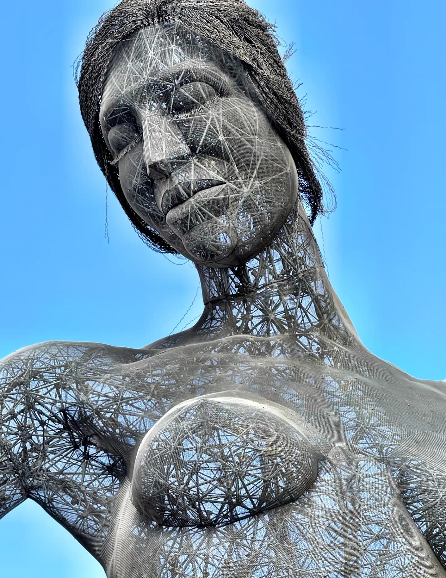 Amy Mitten image