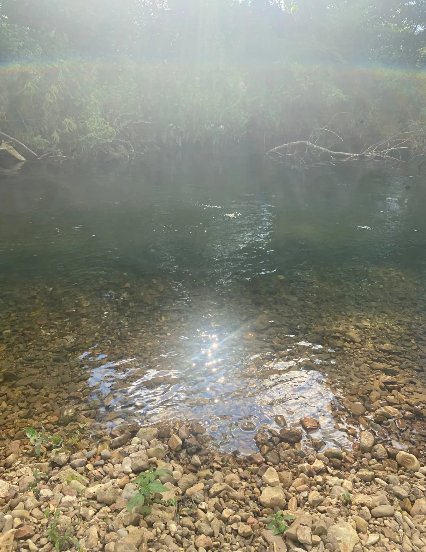 Kristim image