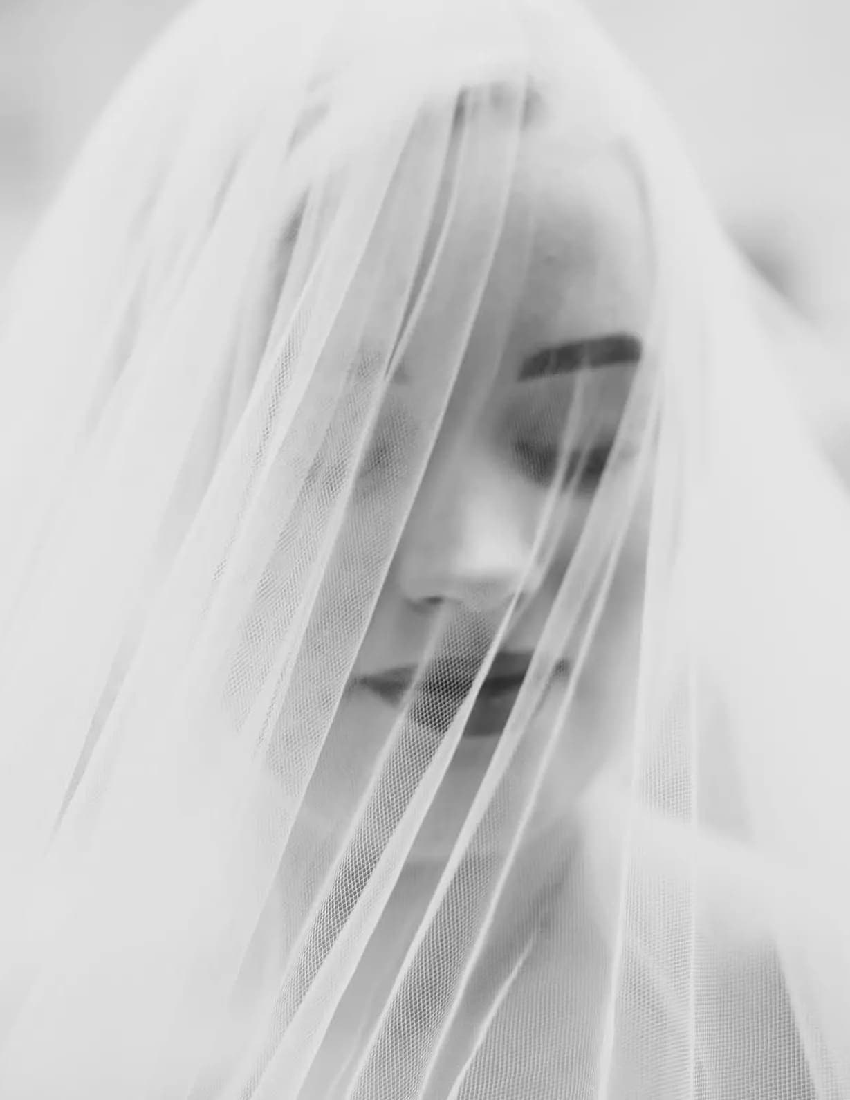 WildElegance image