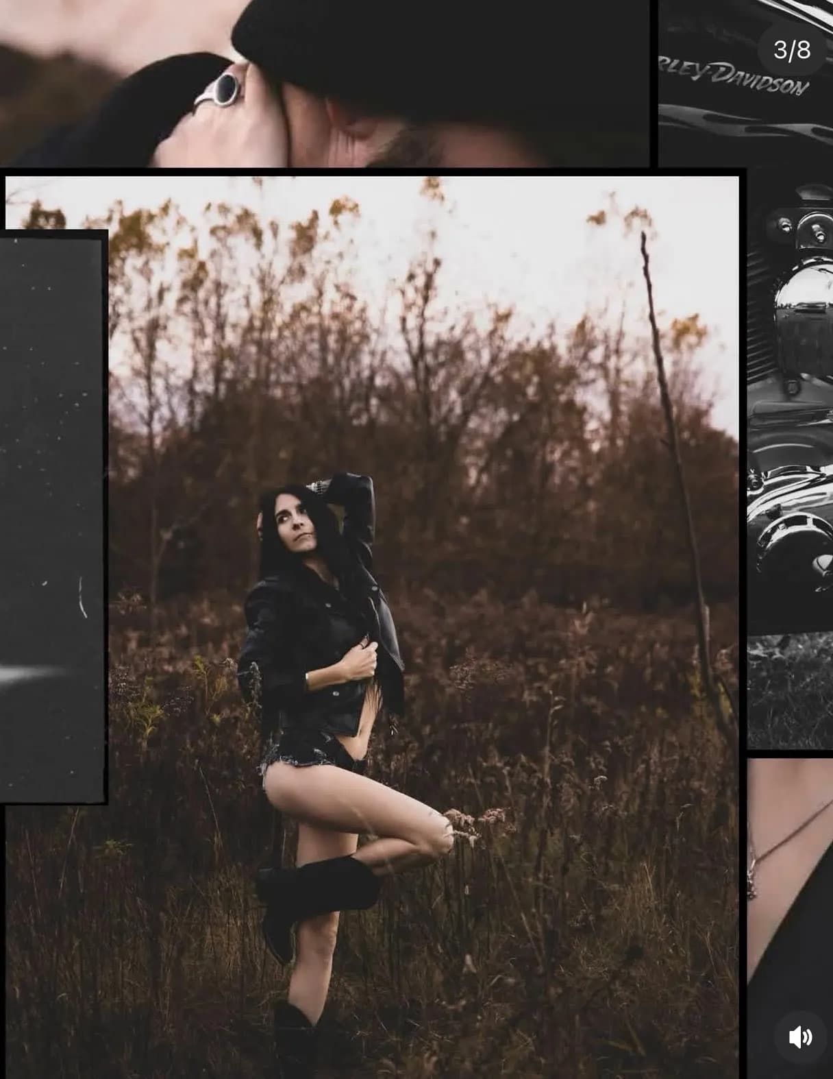 WildElegance image