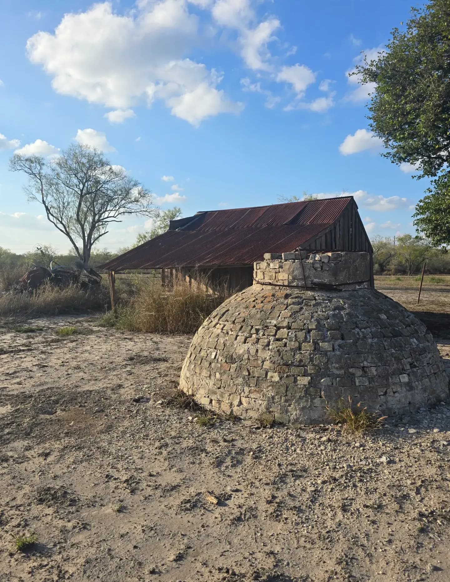 bijoucello image