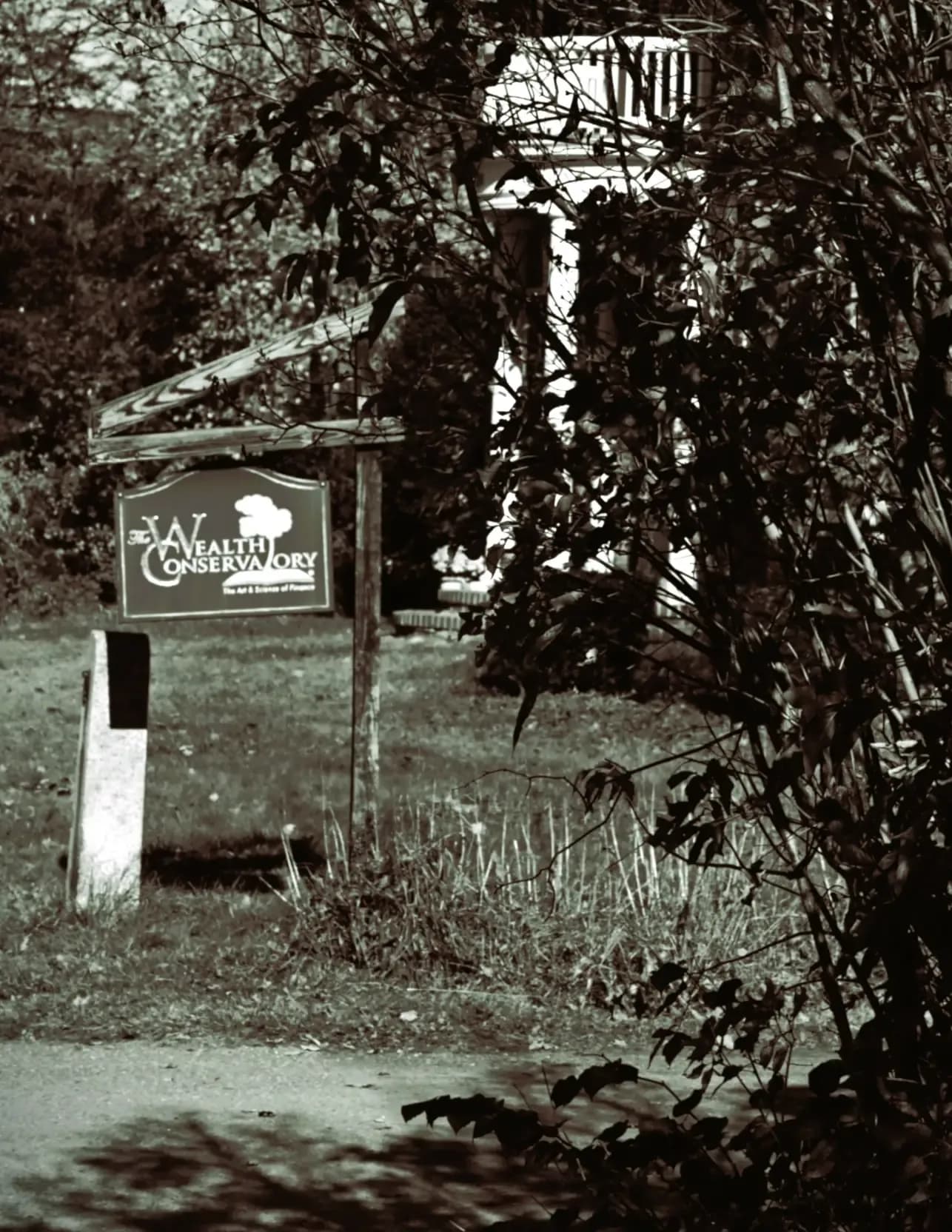 M Bell image