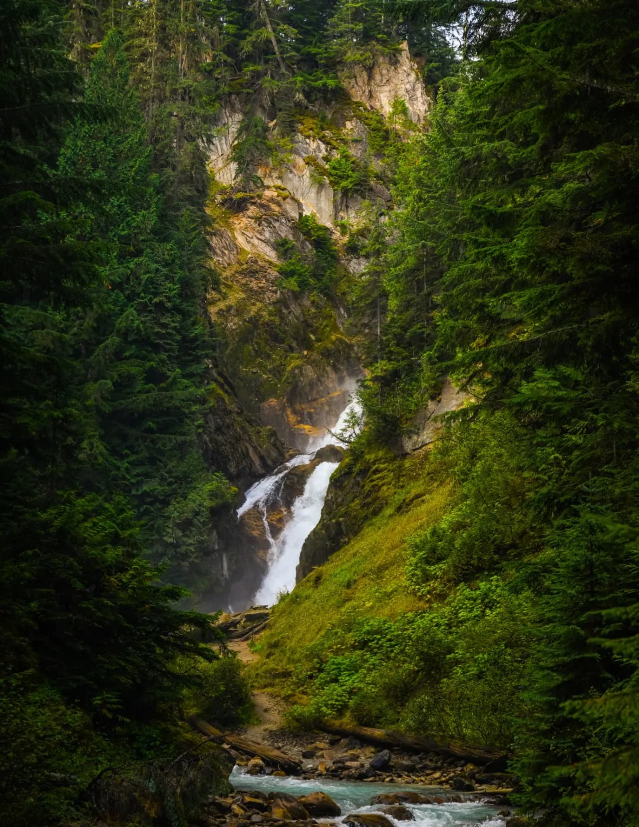 Lorinda Buck image