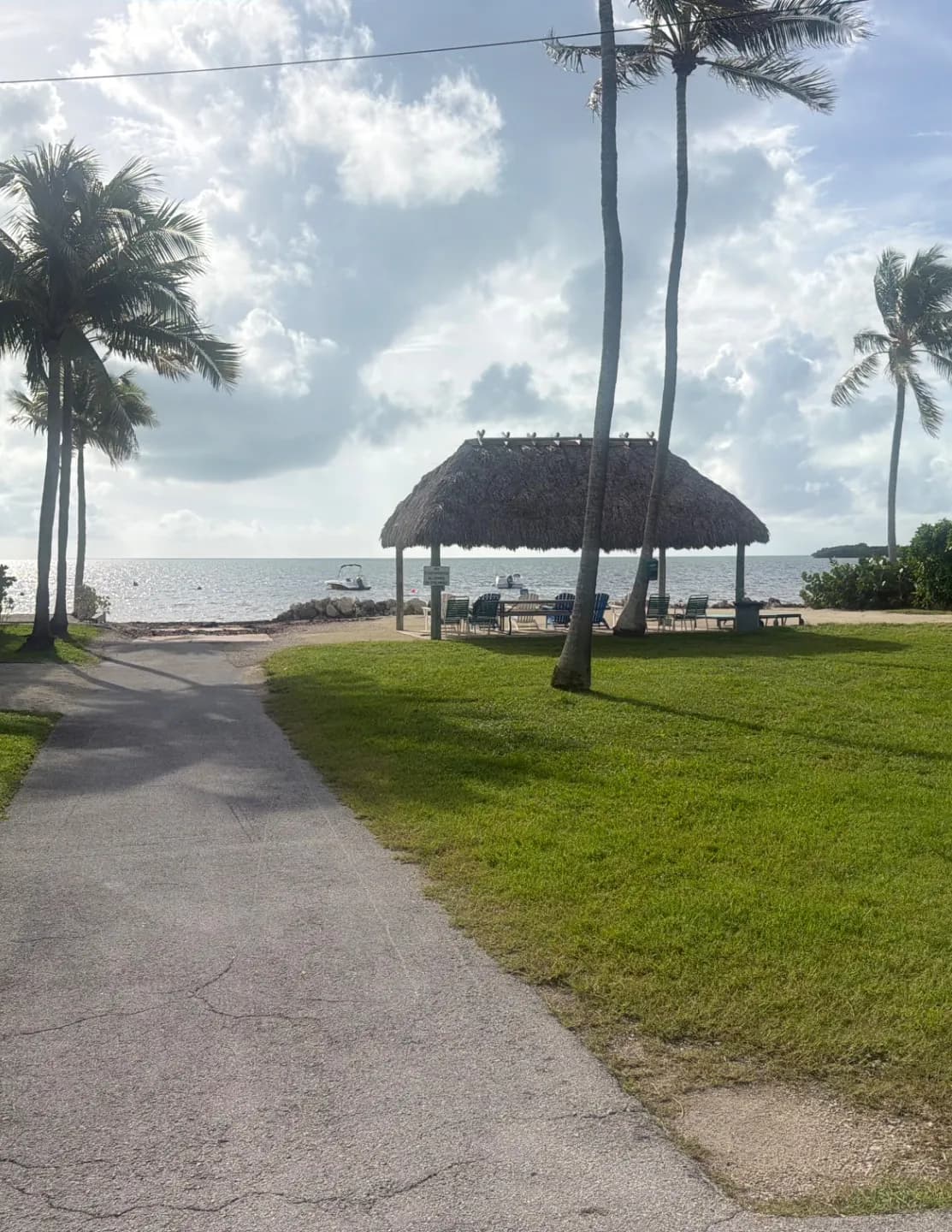 sheldonnbj image