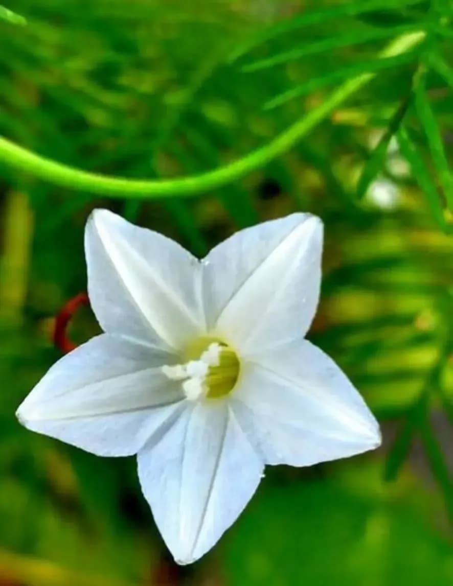 Mother Nature image