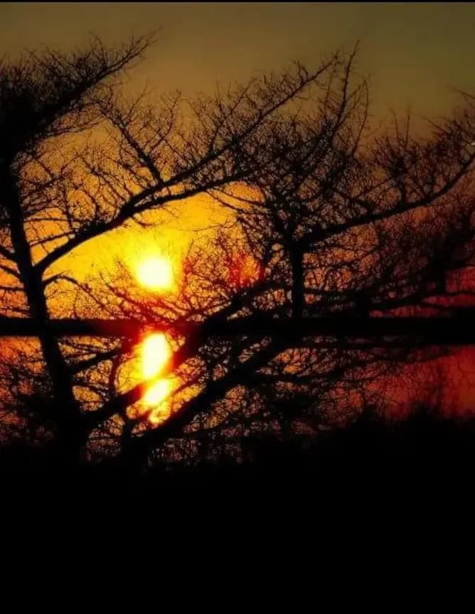 Mother Nature image
