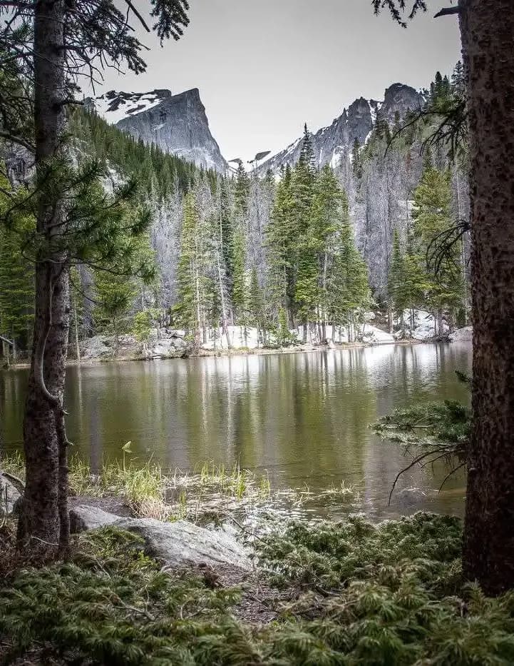 JackayRico image