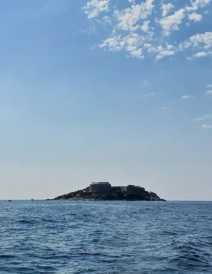 Nebojsa33 image