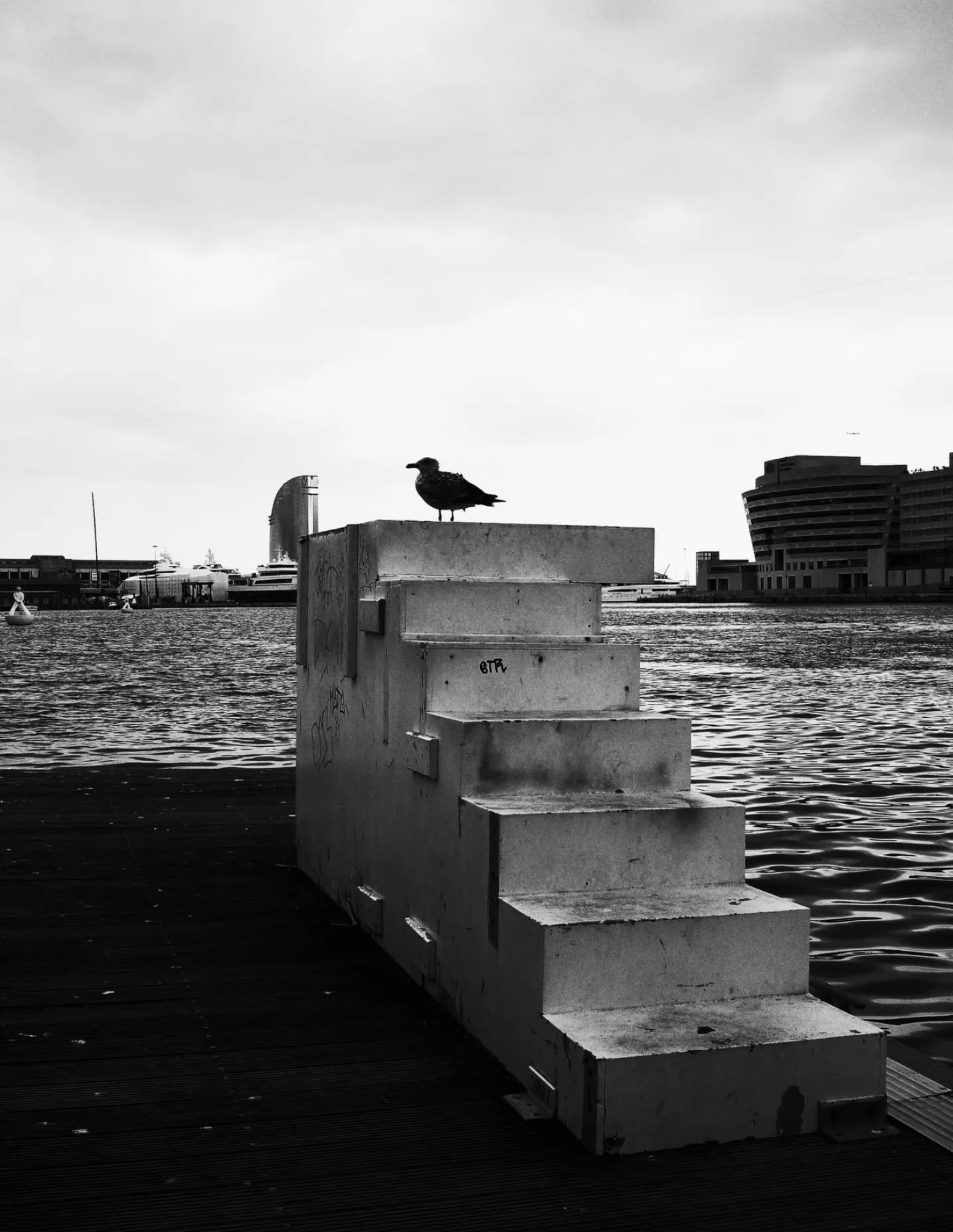 Frankd27 image