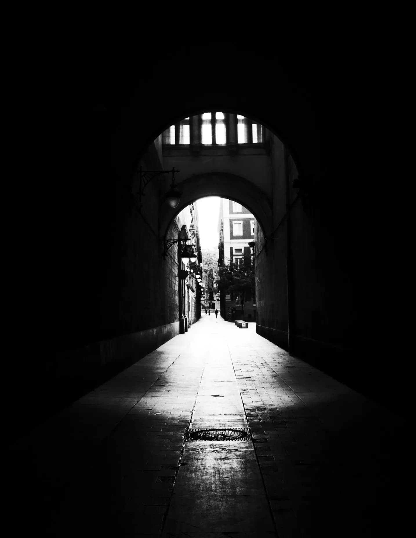 Frankd27 image