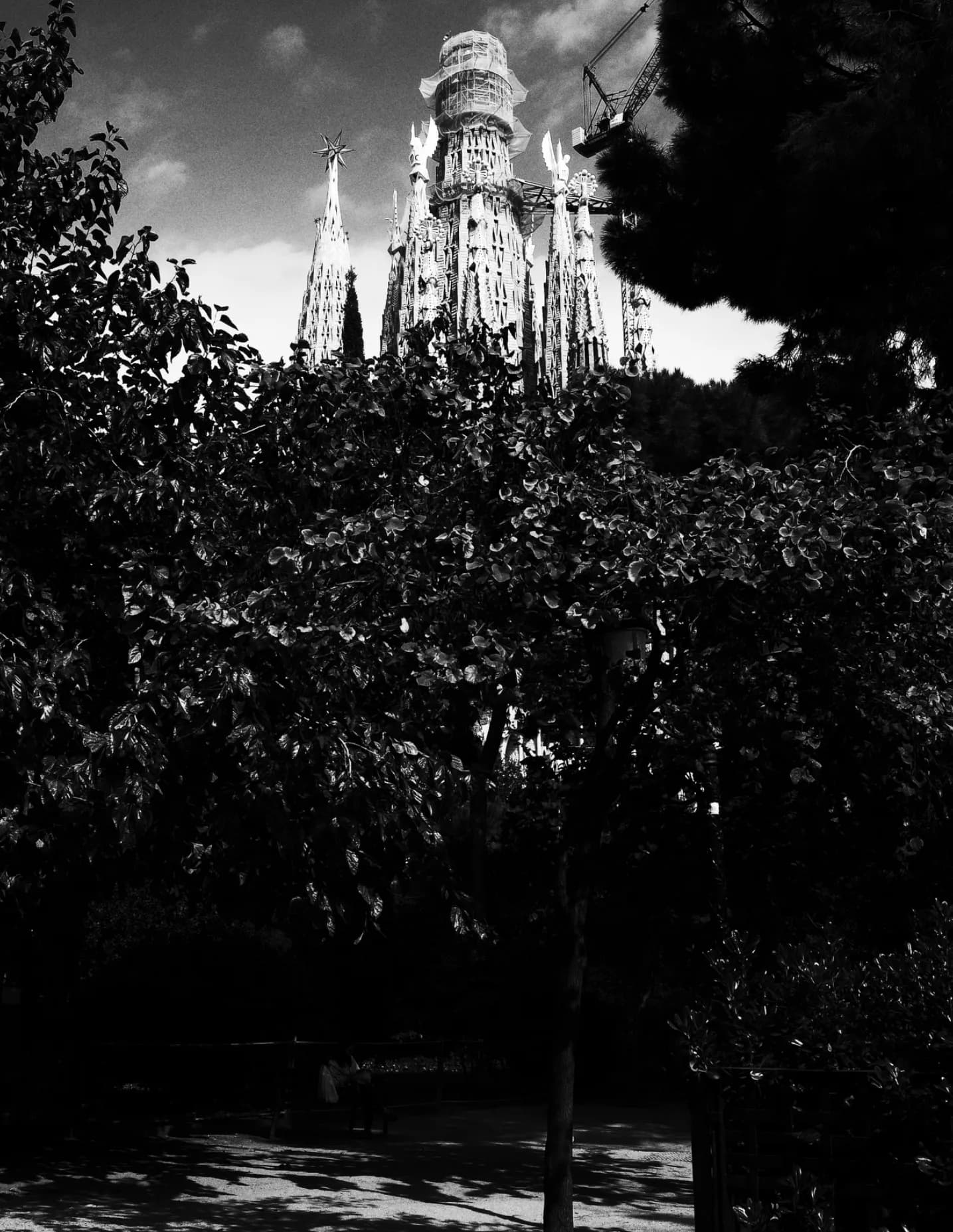 Frankd27 image