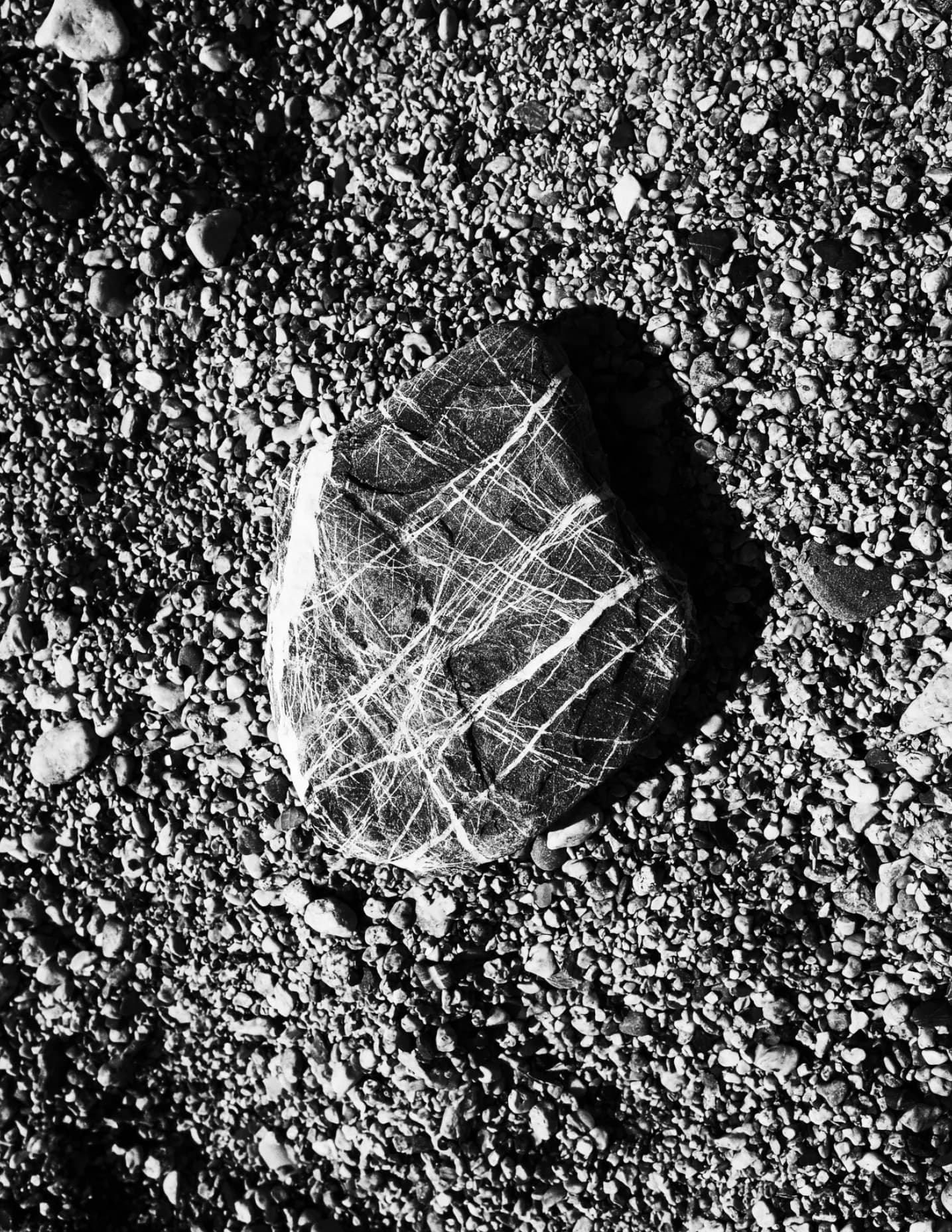 Frankd27 image