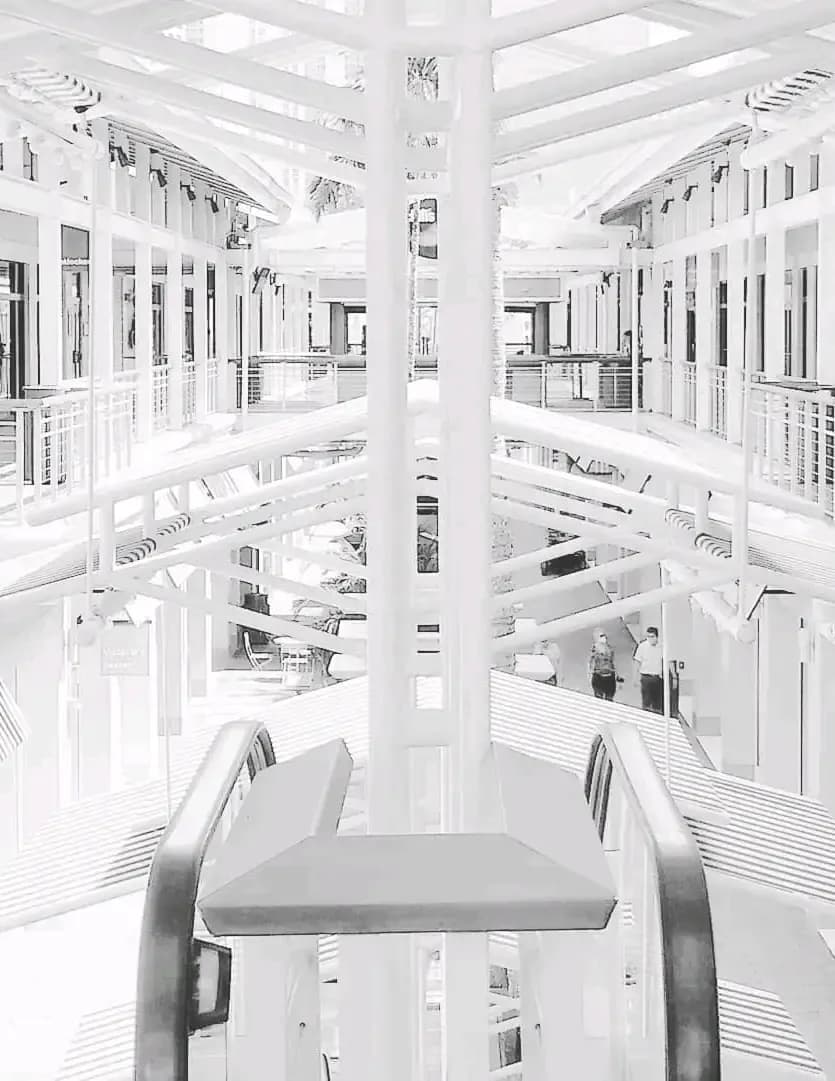 Elevatingthemind  image