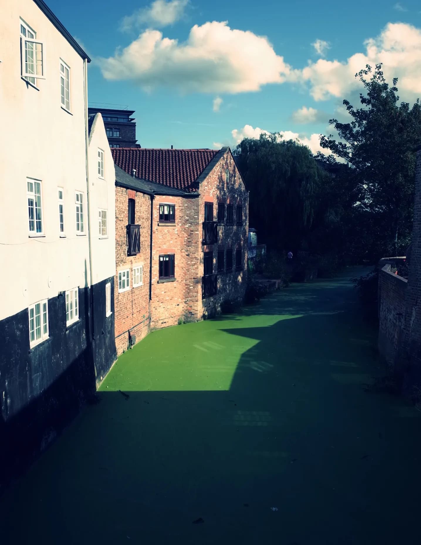 Frankd27 image