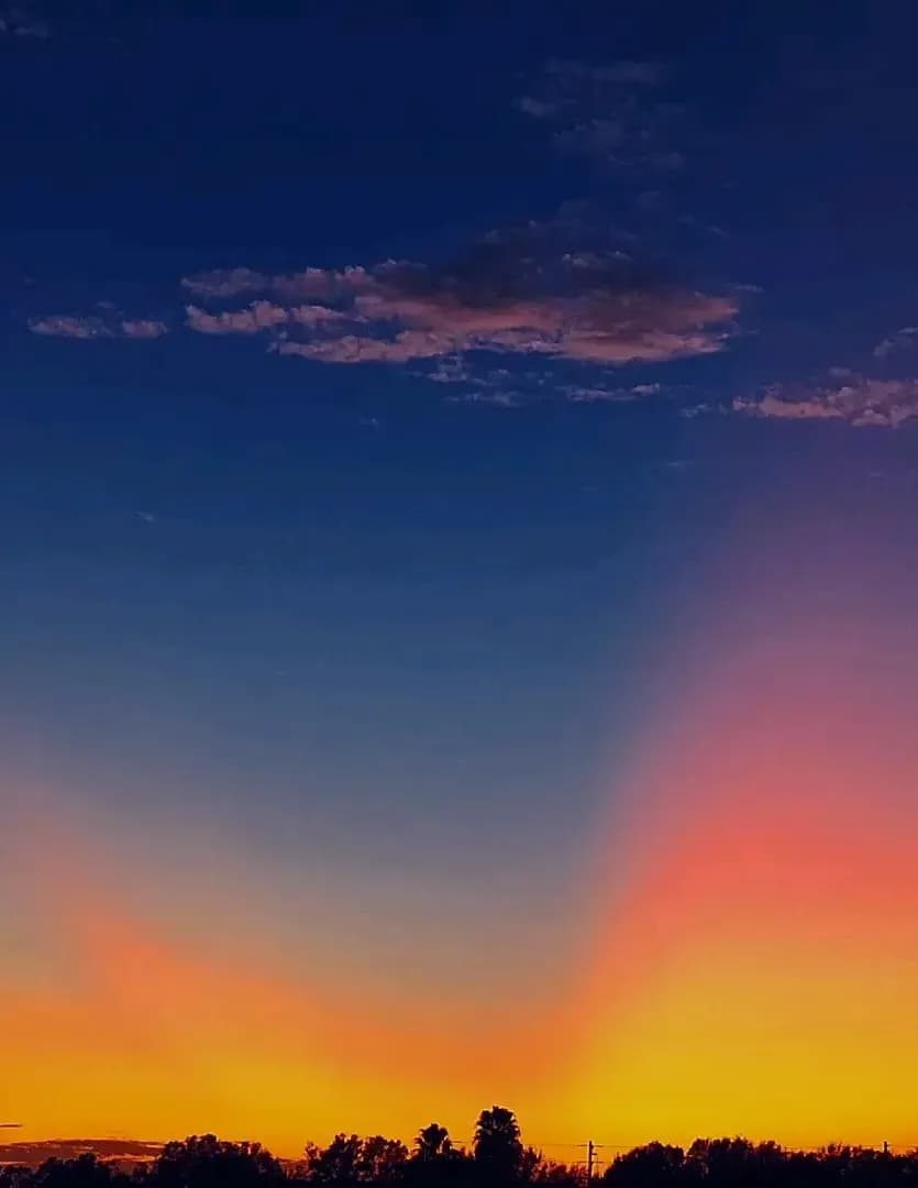 Elevatingthemind  image