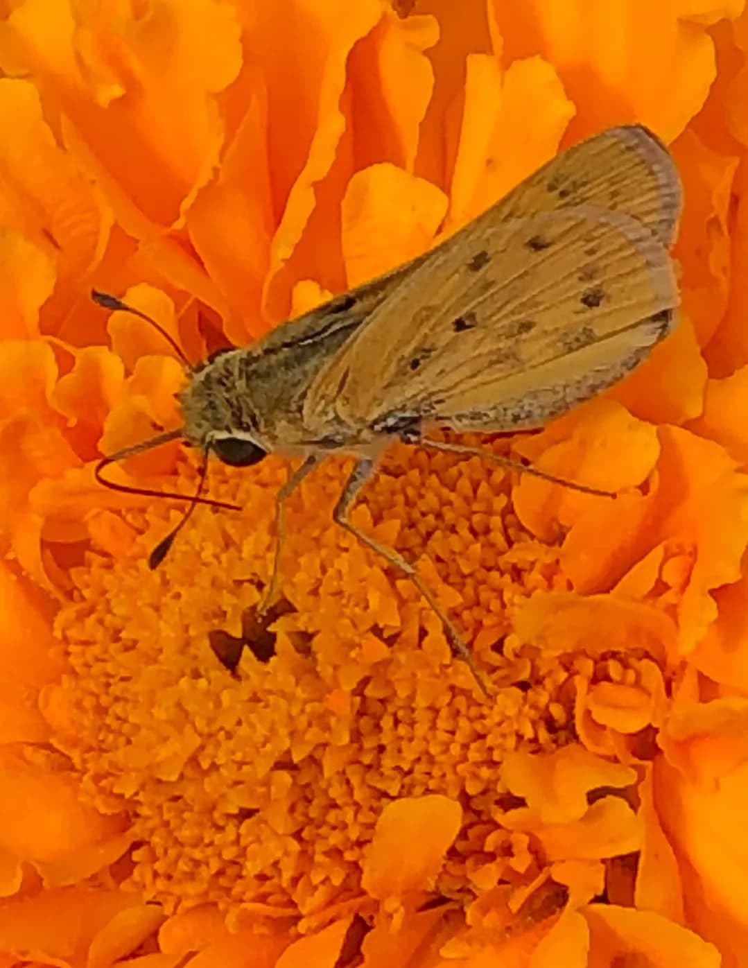 Scott Anderson image