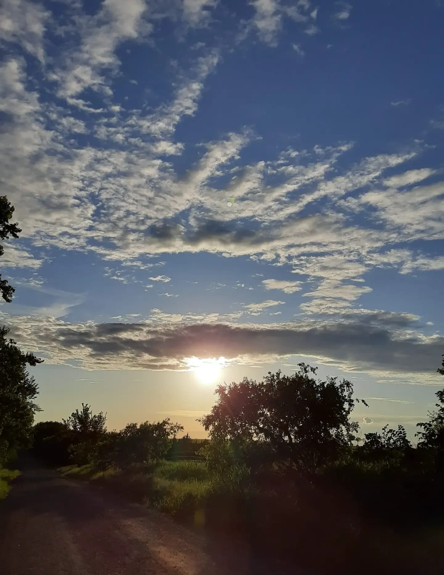 Juliann83 image