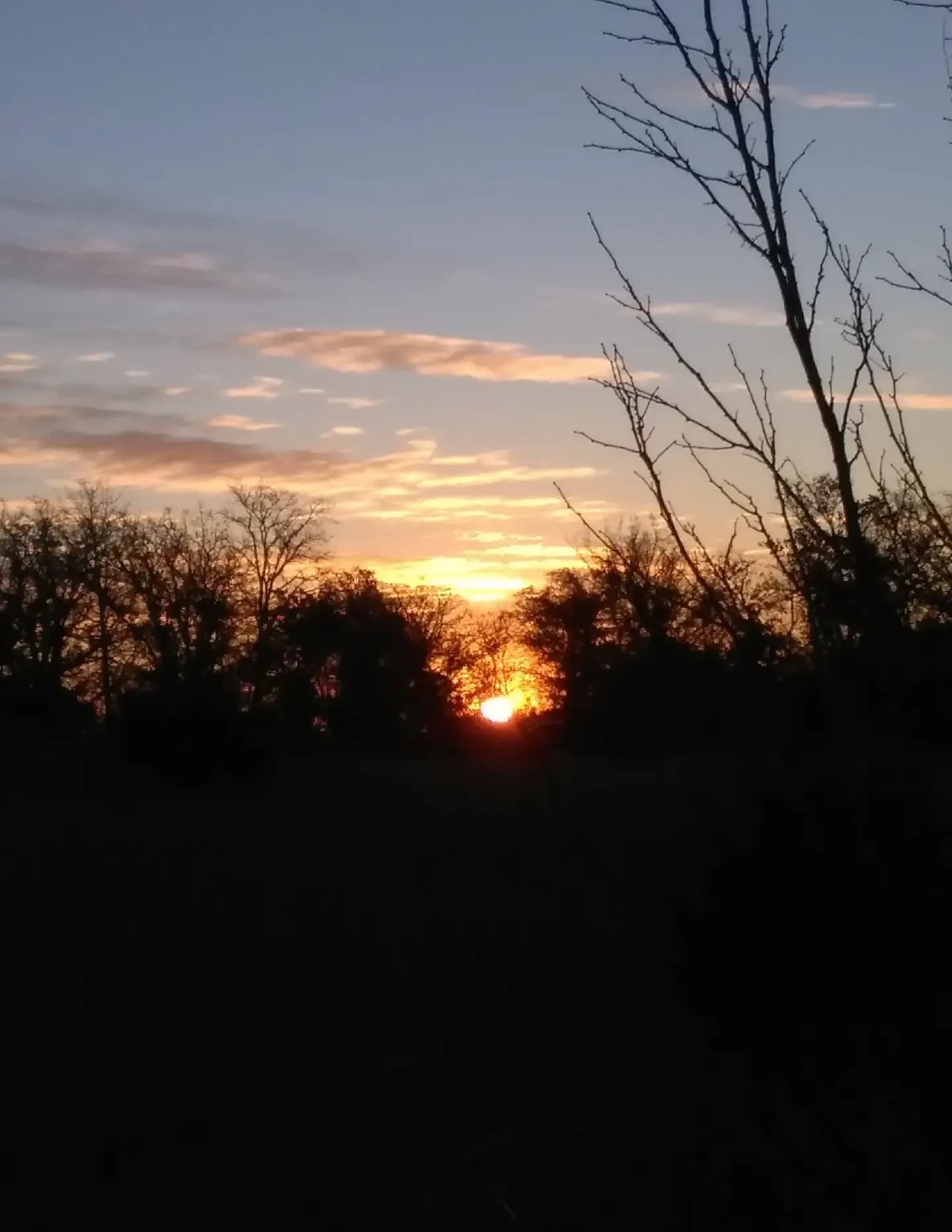 Juliann83 image