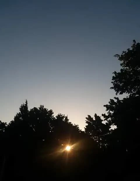 Juliann83 image