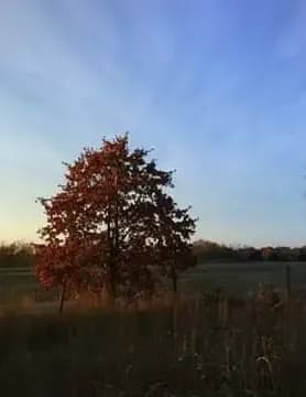 Juliann83 image