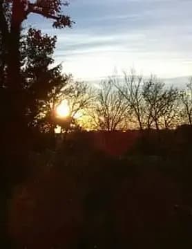 Juliann83 image