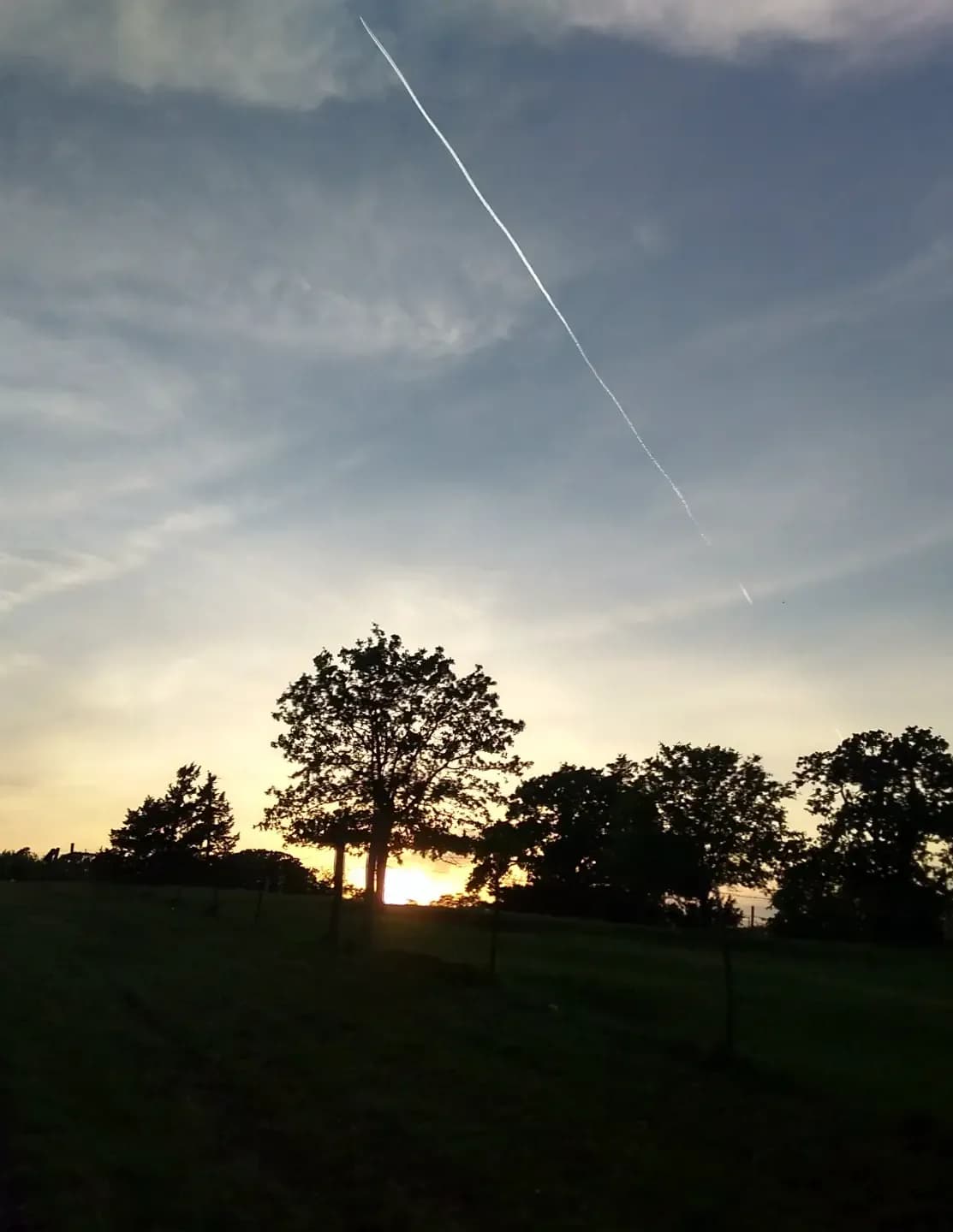 Juliann83 image