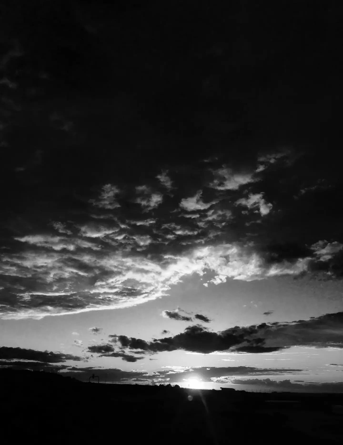 Claire whittington image