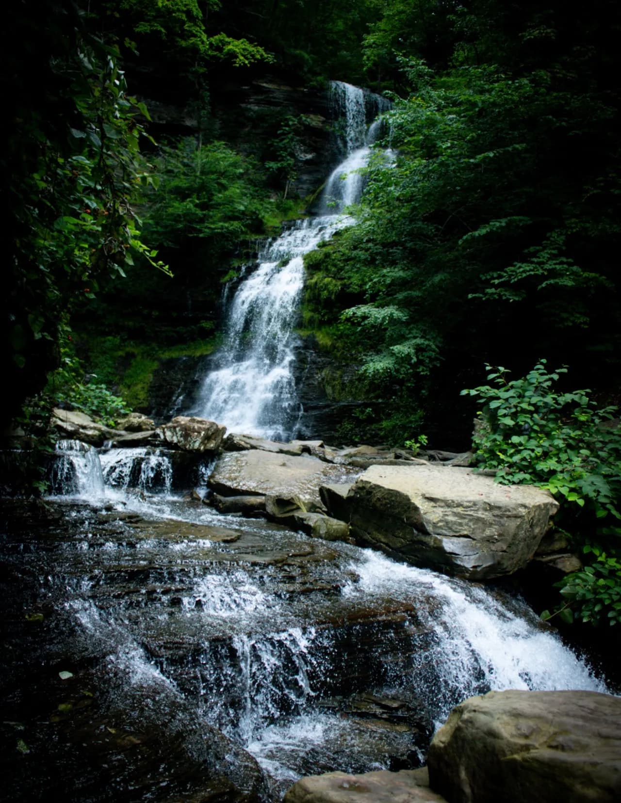 Michelle Miller image
