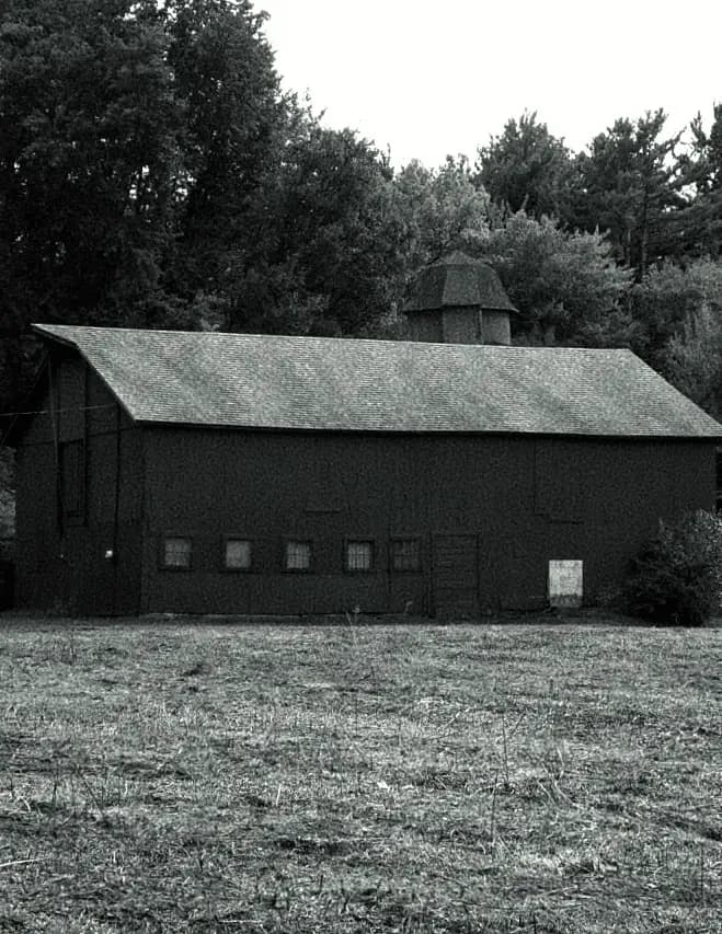 Charlotte image