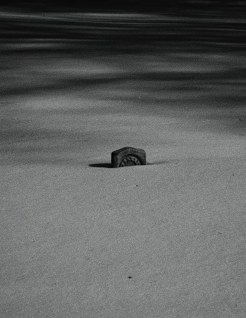 Charlotte image