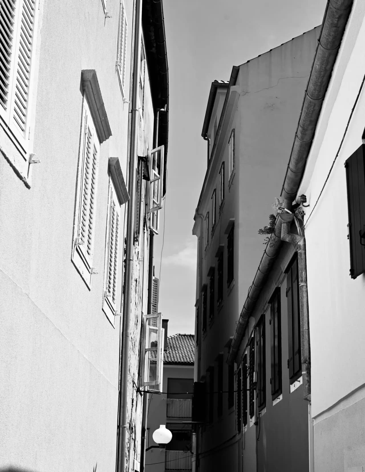 JWWaddlesPhotography image